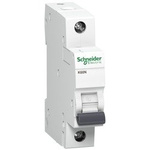 Nadproudový jistič K60N-C16-1 C 16A 1-pólový Schneider Electric A9K02116