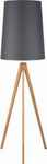 Stojací lampa WALZ grafitová E27 60W 5046 TK Lighting