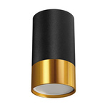 PUZON DWL GU10 BLACK/GOLD černá/zlatá kulaté stropní bodové svítidlo pro povrchovou montáž Struhm 04123