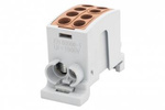 Svorkovnice HLK 100A-2 (1x25,1x16 / 1x25,1x16)-hnědá F-elektro