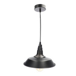 TENE E27 matně černá průmyslová závěsná lampa EDO777175 EDO Solutions