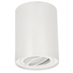 LED SKAND 1 White GU10 IP20 kruhové bílé EDO777101 Edo Solutions bodové stropní svítidlo pro povrchovou montáž