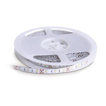 LED pásek TRAMO 300 diod 2835 IP20 studená 5m PREMIUM Kobi